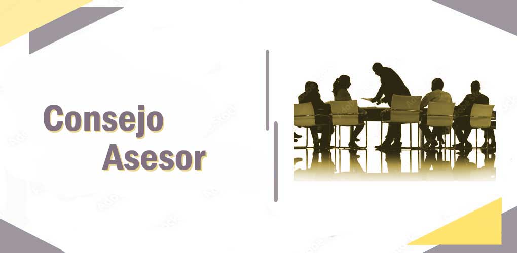 DCG consejo asesor